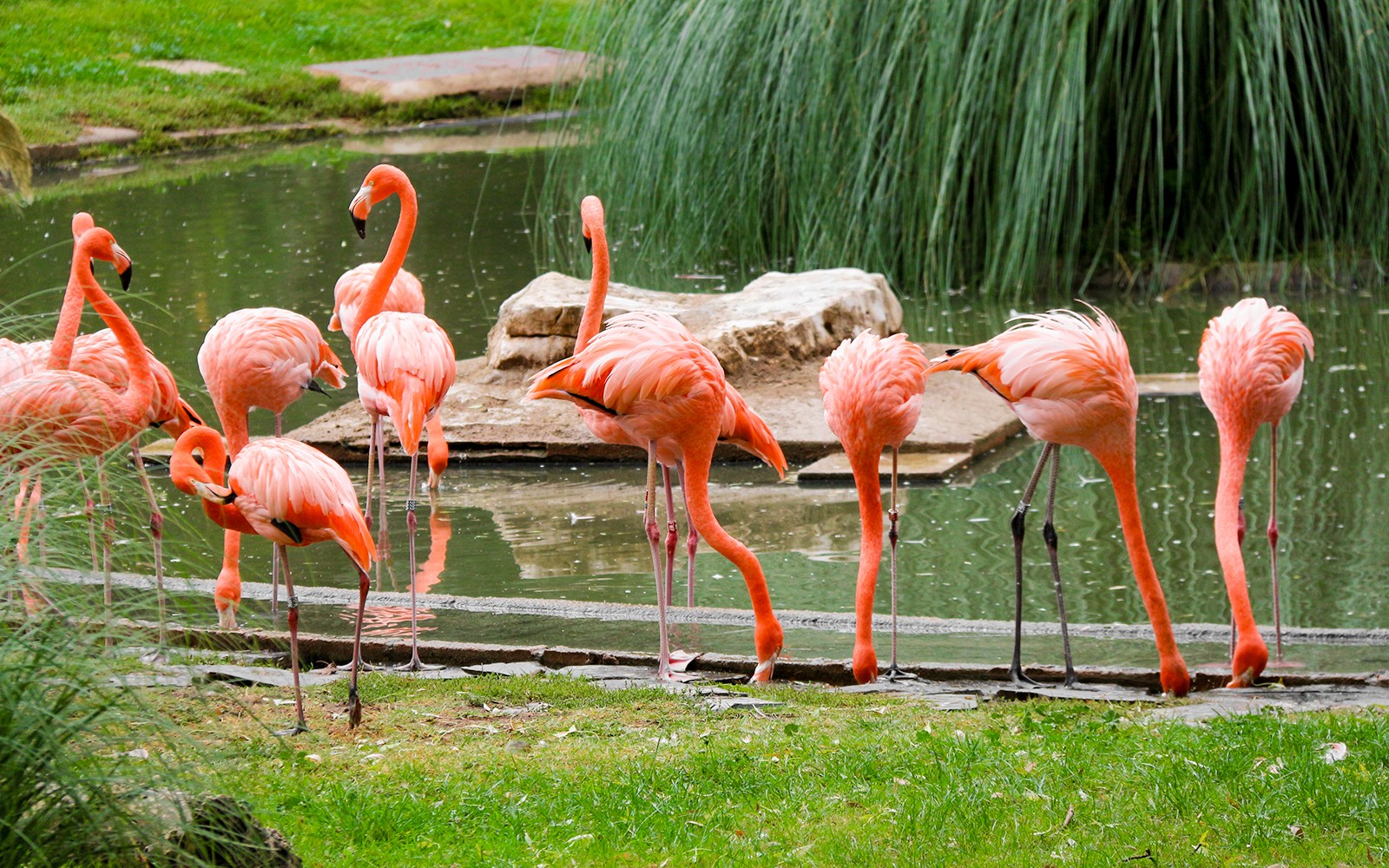 Madrid Zoo Aquarium Entry Tickets — gallery 2