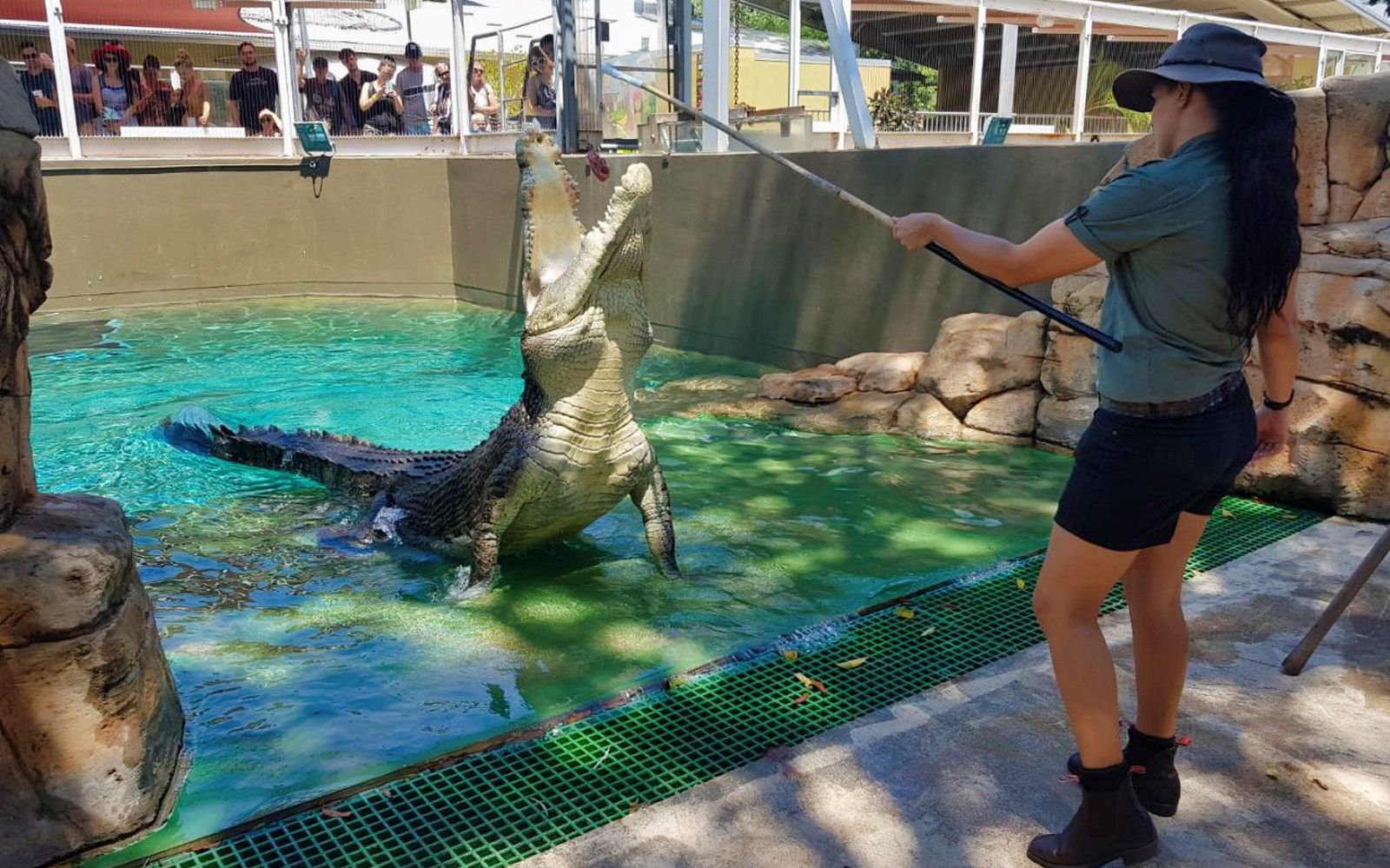 Crocosaurus Cove Tickets