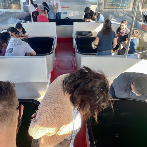 Los Angeles Long Beach Harbor: Eco-Tour Cruise in a Glass Bottom Boat — gallery 1