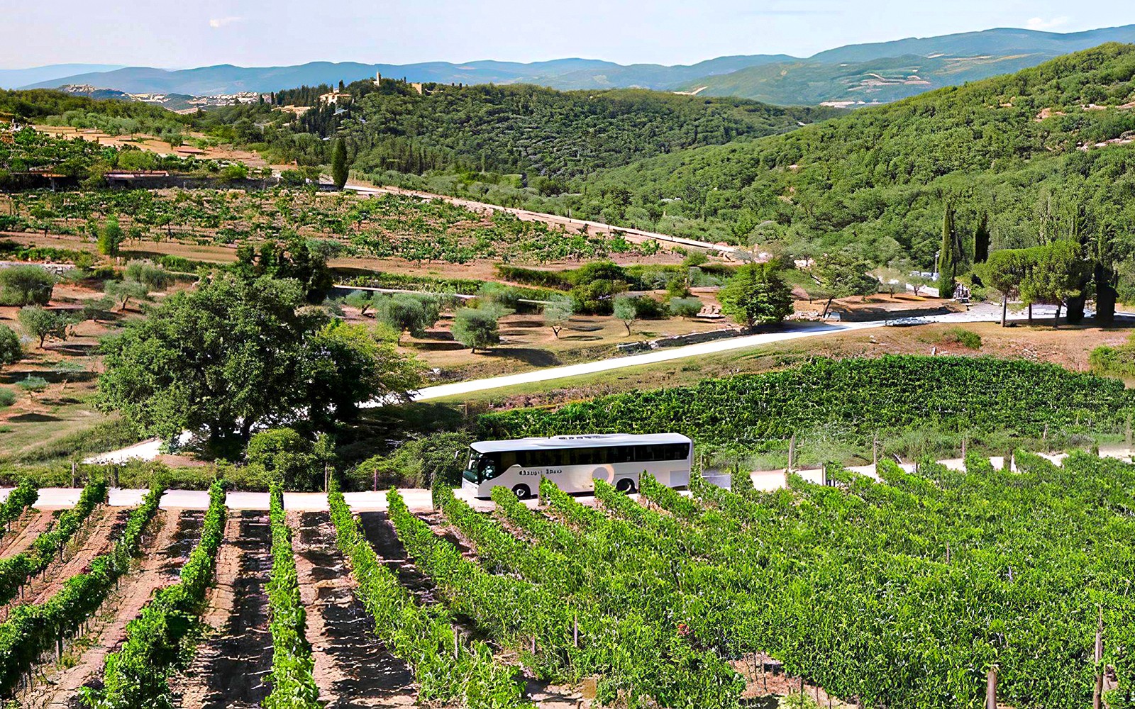 From Florence: Pisa, San Gimignano, Siena & Chianti Day Trip with Lunch & Tuscan Tastings — gallery 3