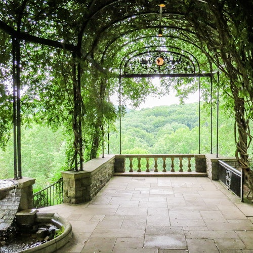 Cheekwood Estate and Gardens: General Admission