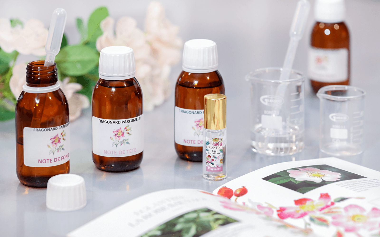 Grasse: Fragonard Factory Guided Tour with Perfume Workshop