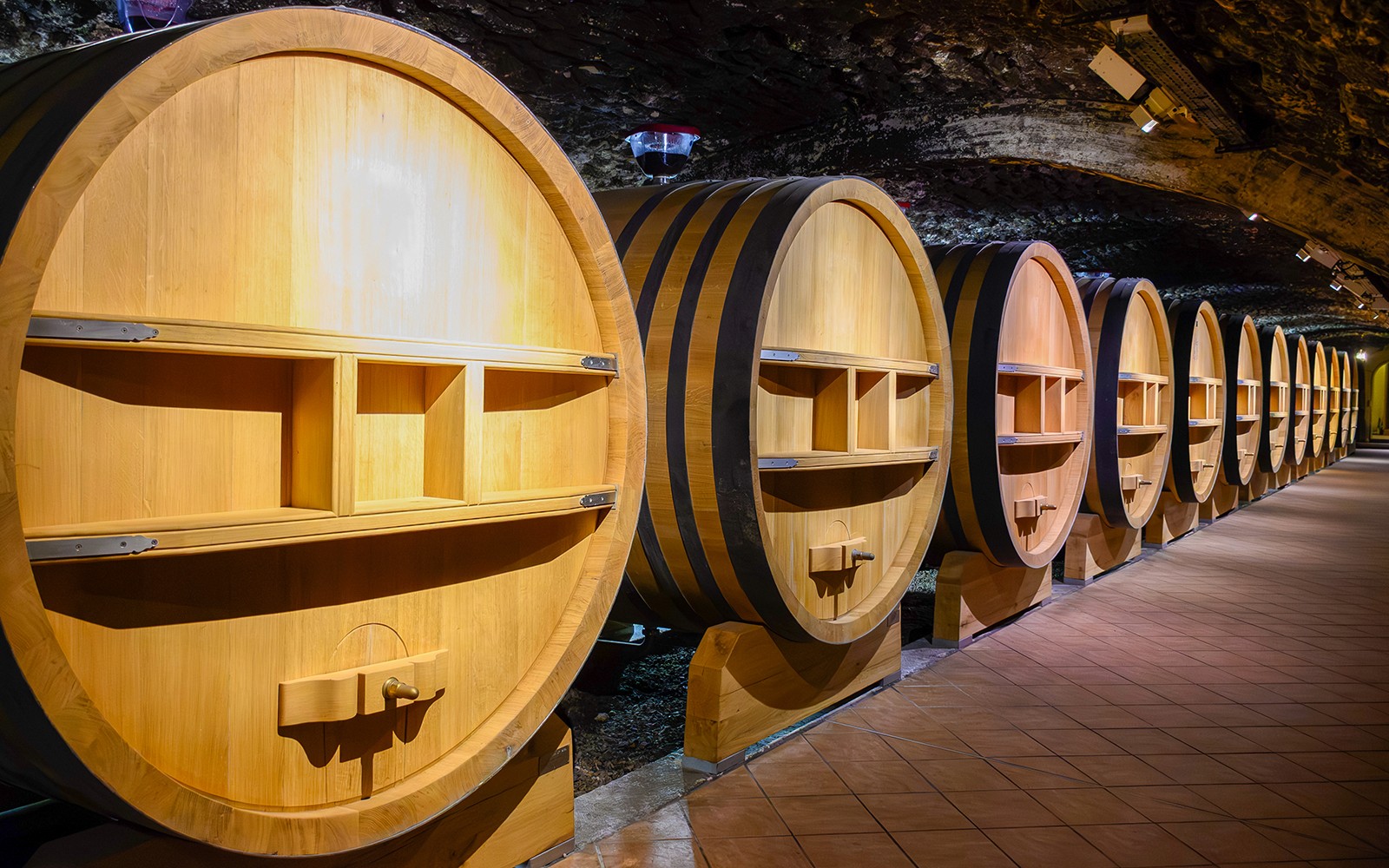 From Avignon: Full-Day Châteauneuf du Pape and Luberon Wine Tasting Tour — gallery 1