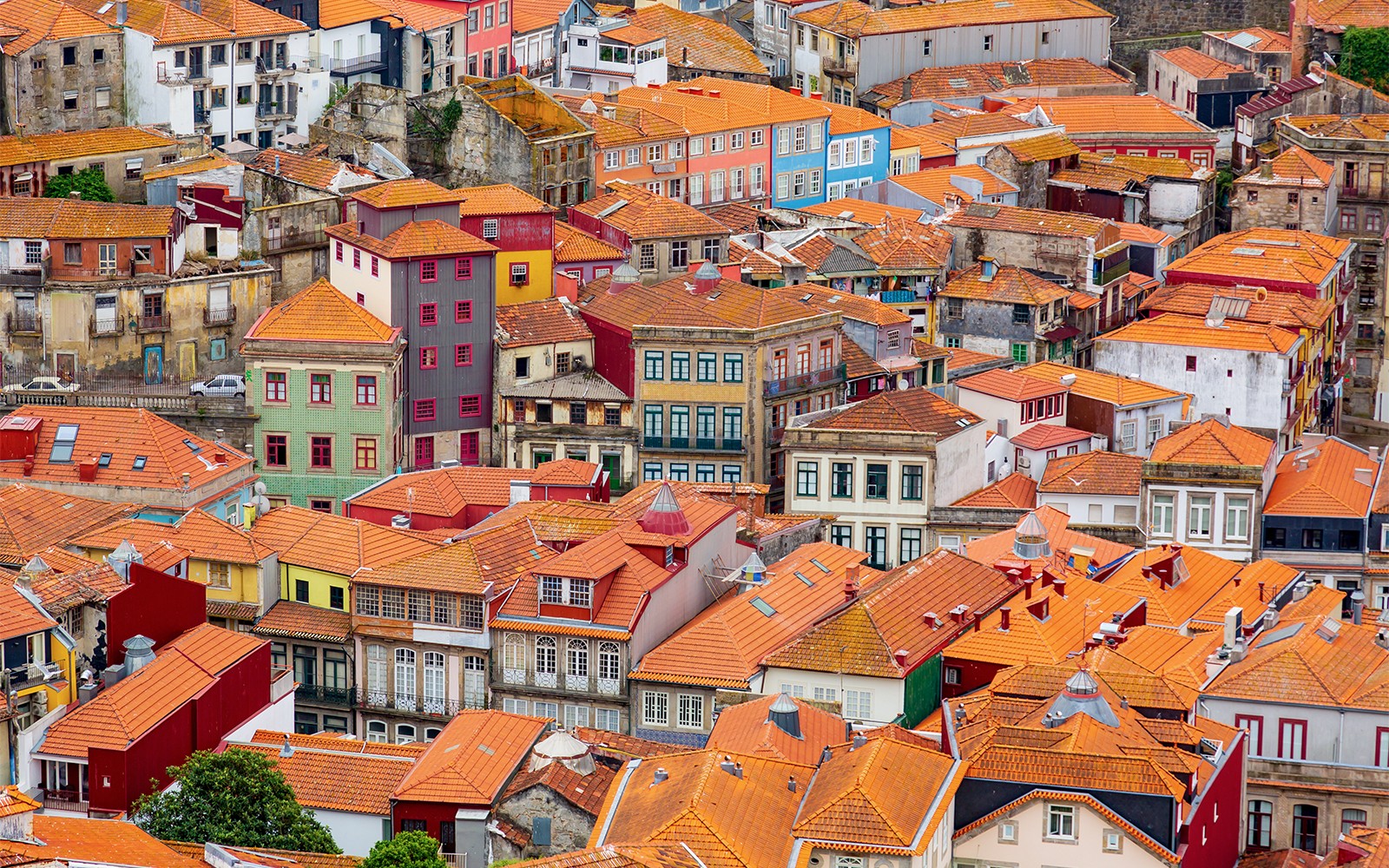 Tickets to Misericórdia Museum and Church in Porto — gallery 3