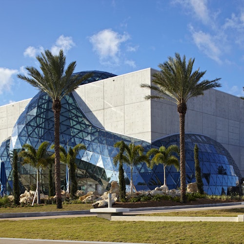 The Dalí Museum: Gallery Admission Ticket