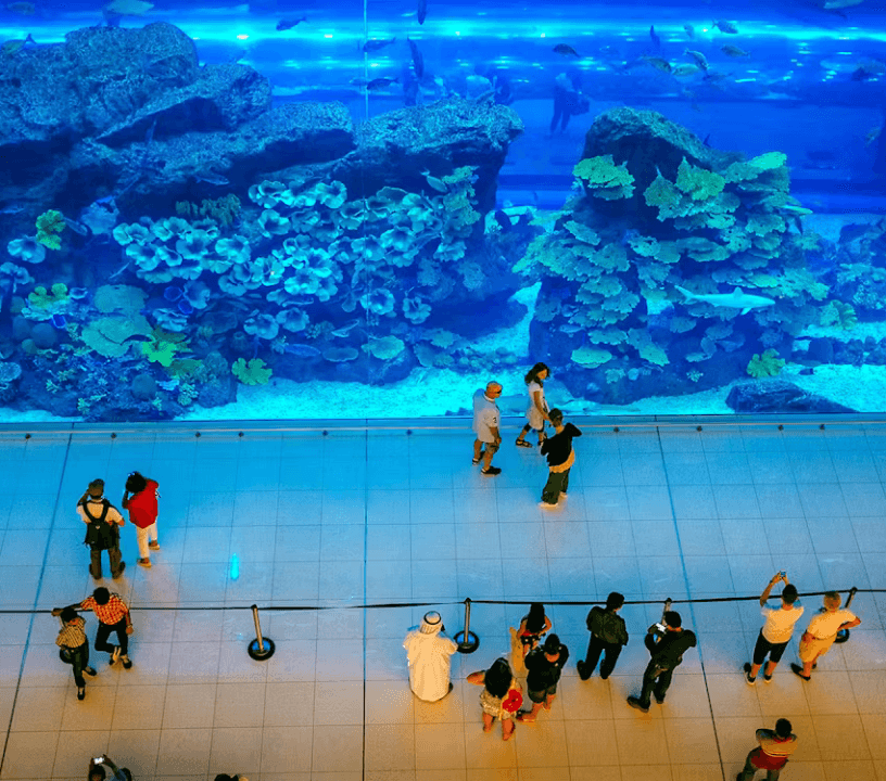 Dubai Aquarium & Underwater Zoo — gallery 5