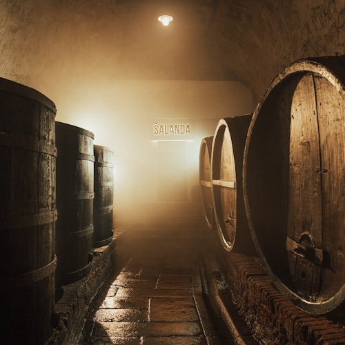 Pilsner Urquell Brewery: Guided Tour with Beer Tasting