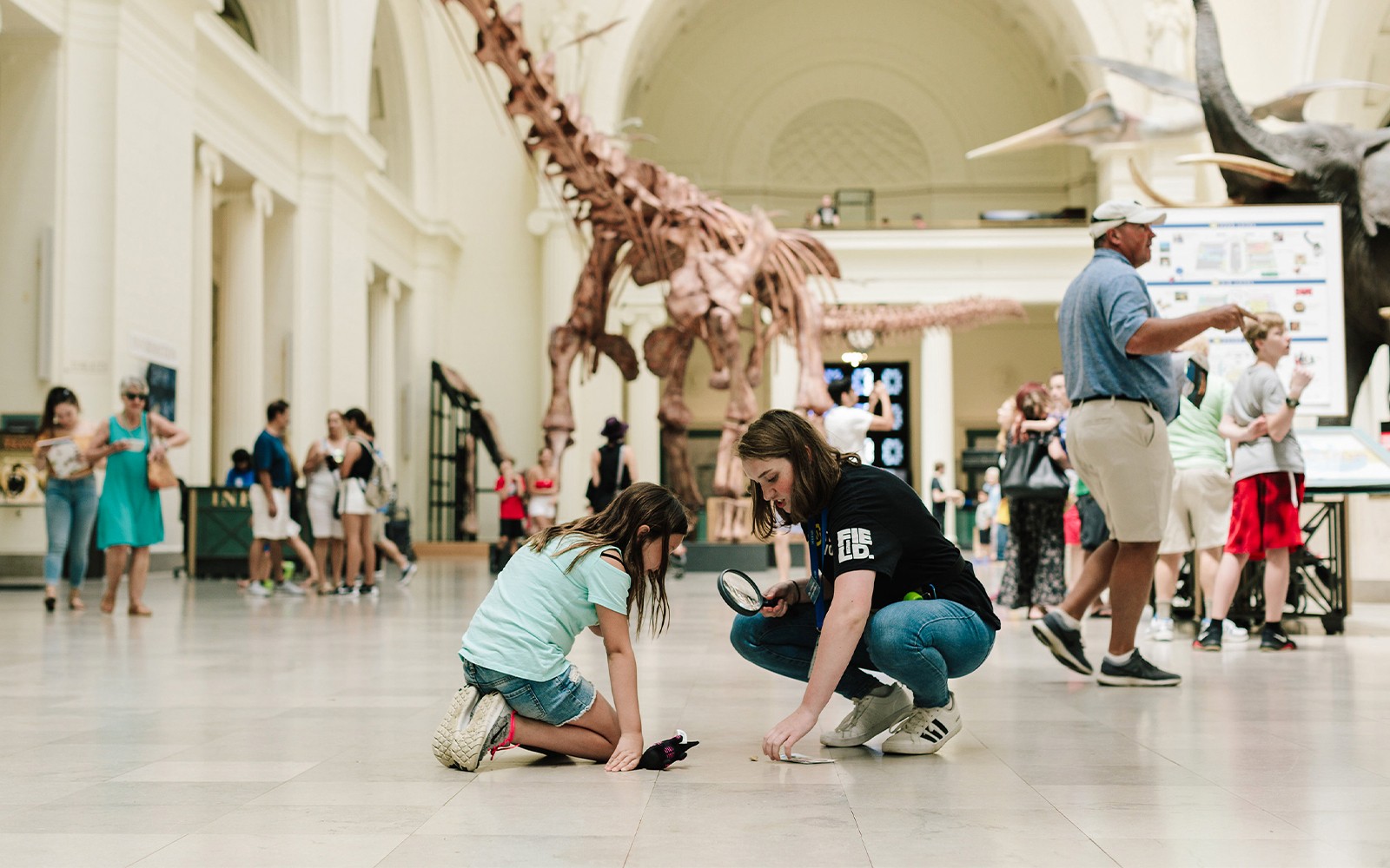 Go City Chicago All-Inclusive Pass: Choose from 39 Attractions