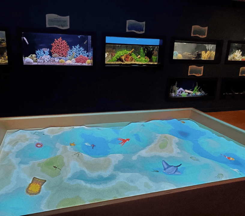 Las Vegas Natural History Museum: Entry Ticket — gallery 3