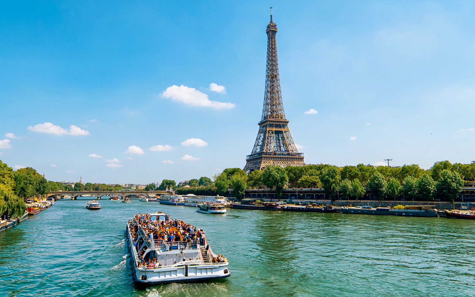 Eiffel Tower Tickets with City Tour & Seine River Cruise — gallery 1