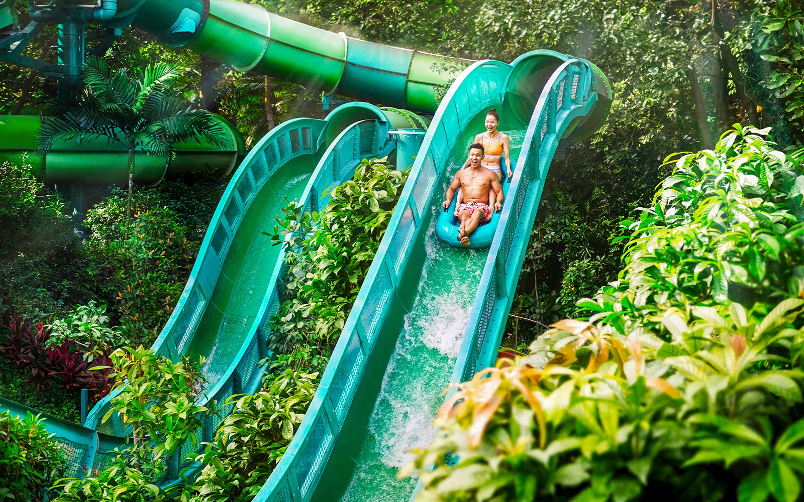 Adventure Cove Waterpark Tickets