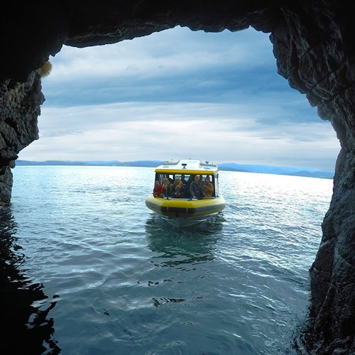 Hobart: Iron Pot Lighthouse Guided Cruise — gallery 5