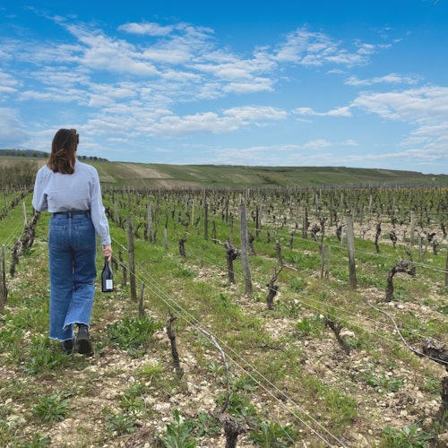 Sancerre: Wine Tastings + Lunch from Paris