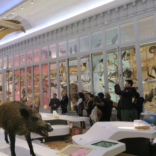 Bordeaux CityPass — gallery 1
