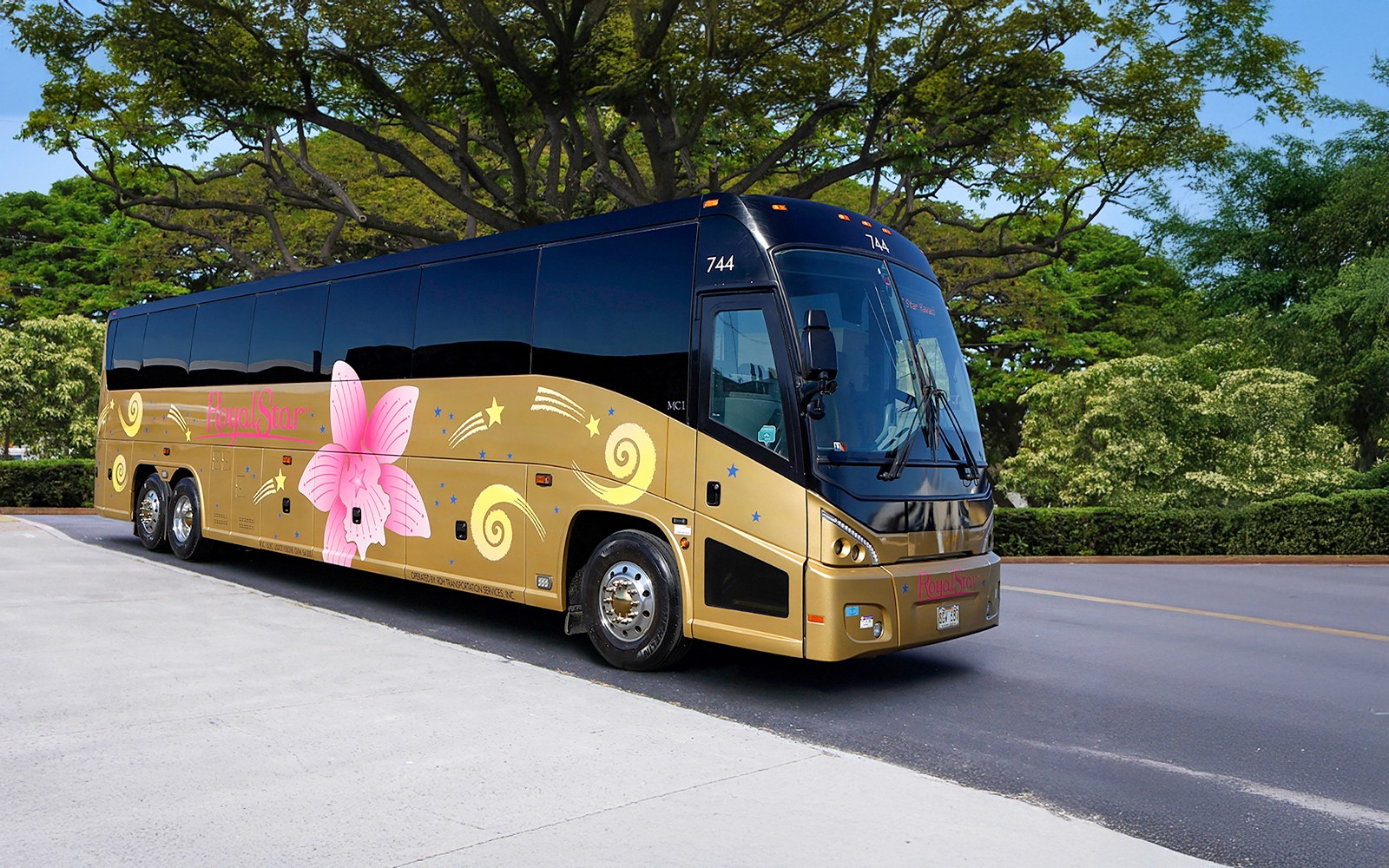 Haleiwa & Dole Plantation Express Half-Day Tour — gallery 2
