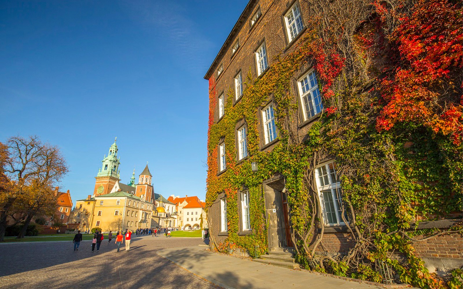 Krakow: Guided Wawel Tour, Lunch, and Vistula River Cruise — gallery 2