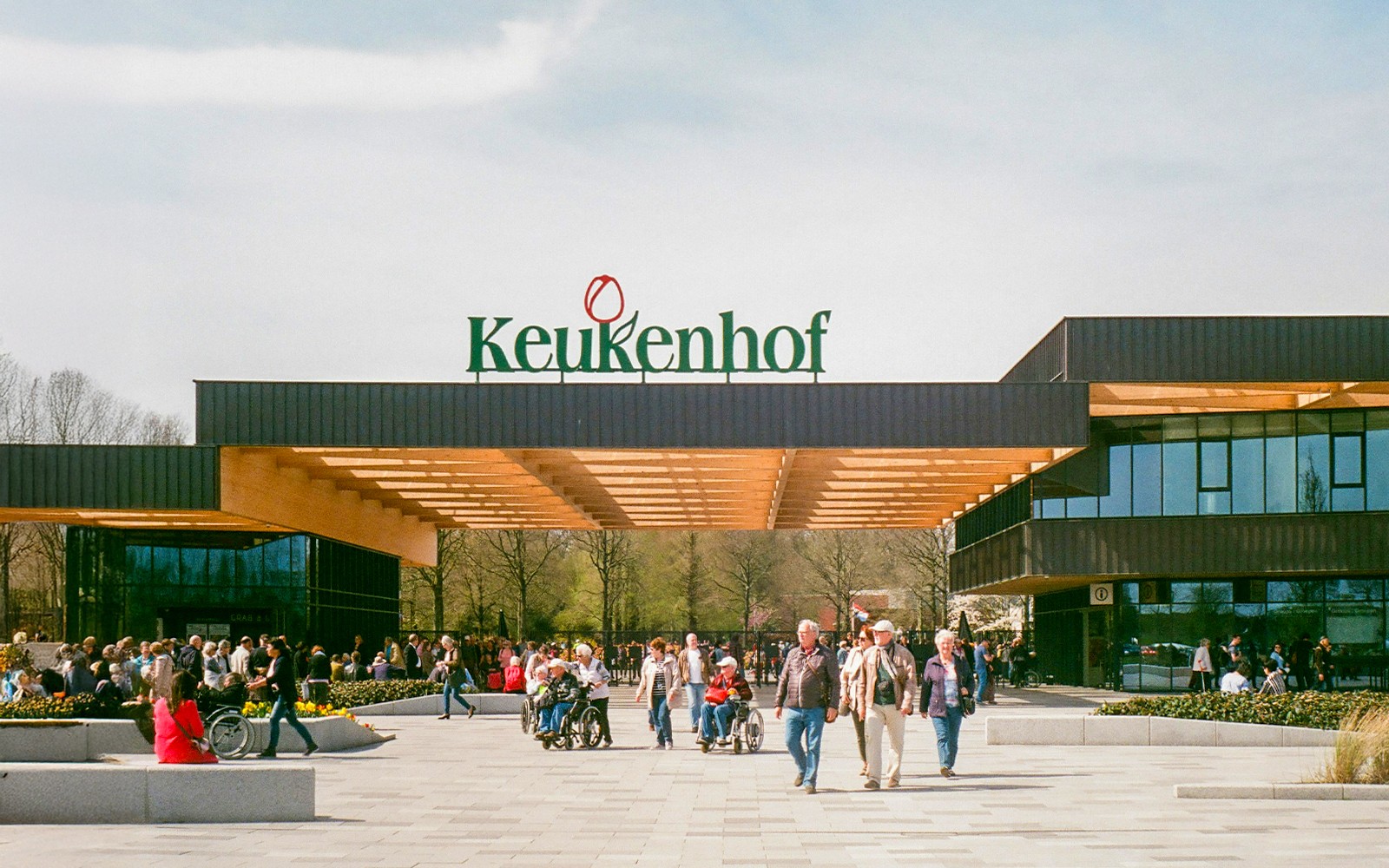 Tour to Keukenhof with Windmill Cruise from Amsterdam