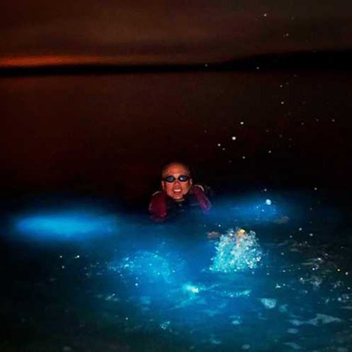 Krabi: Phranang Cave Sunset Tour with Night Snorkeling by Longtail Boat — gallery 1