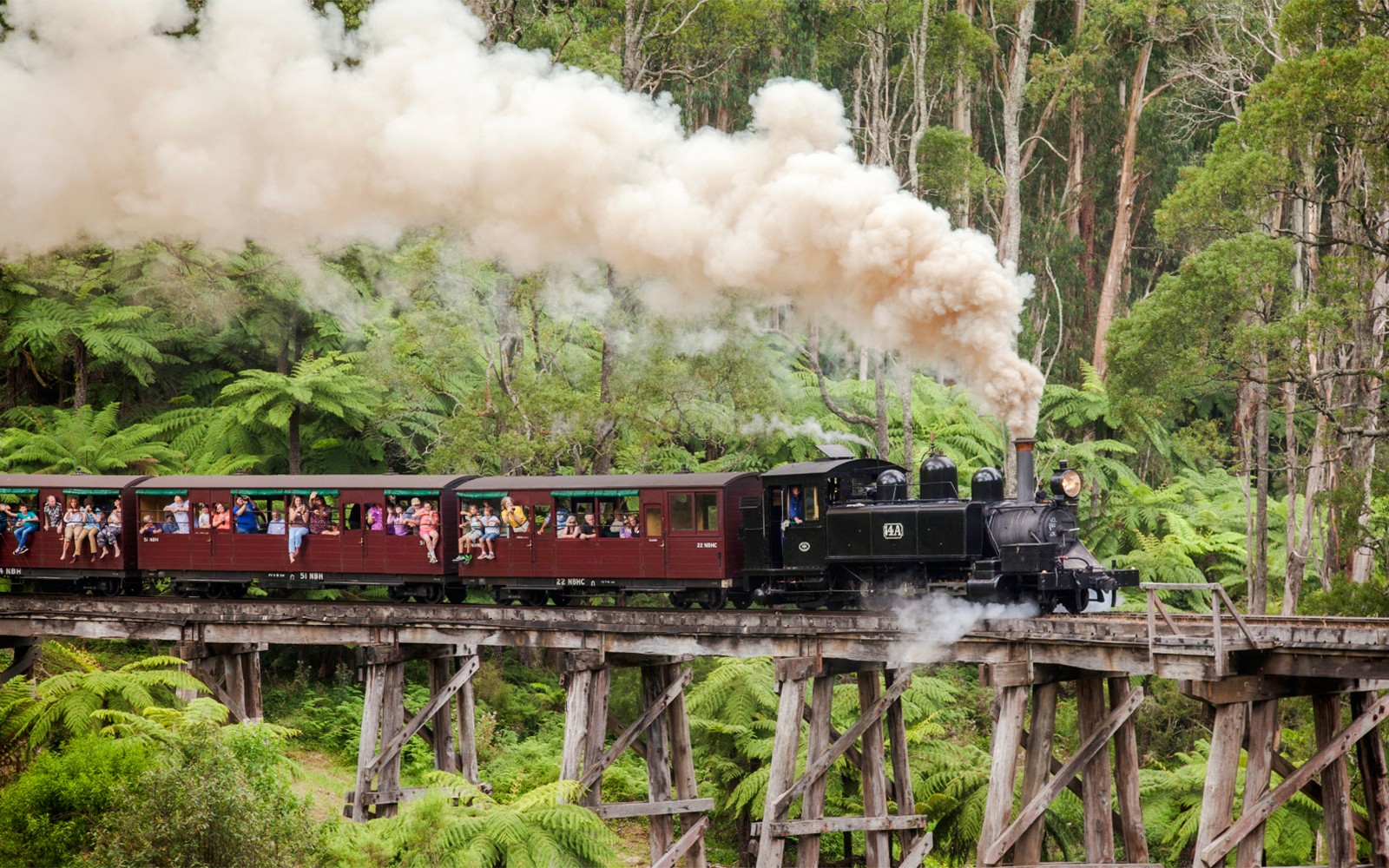 From Melbourne: Puffing Billy Steam Train Half-Day Tour with Transfers