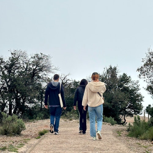 Montserrat: Half-Day Guided Tour from Barcelona — gallery 4