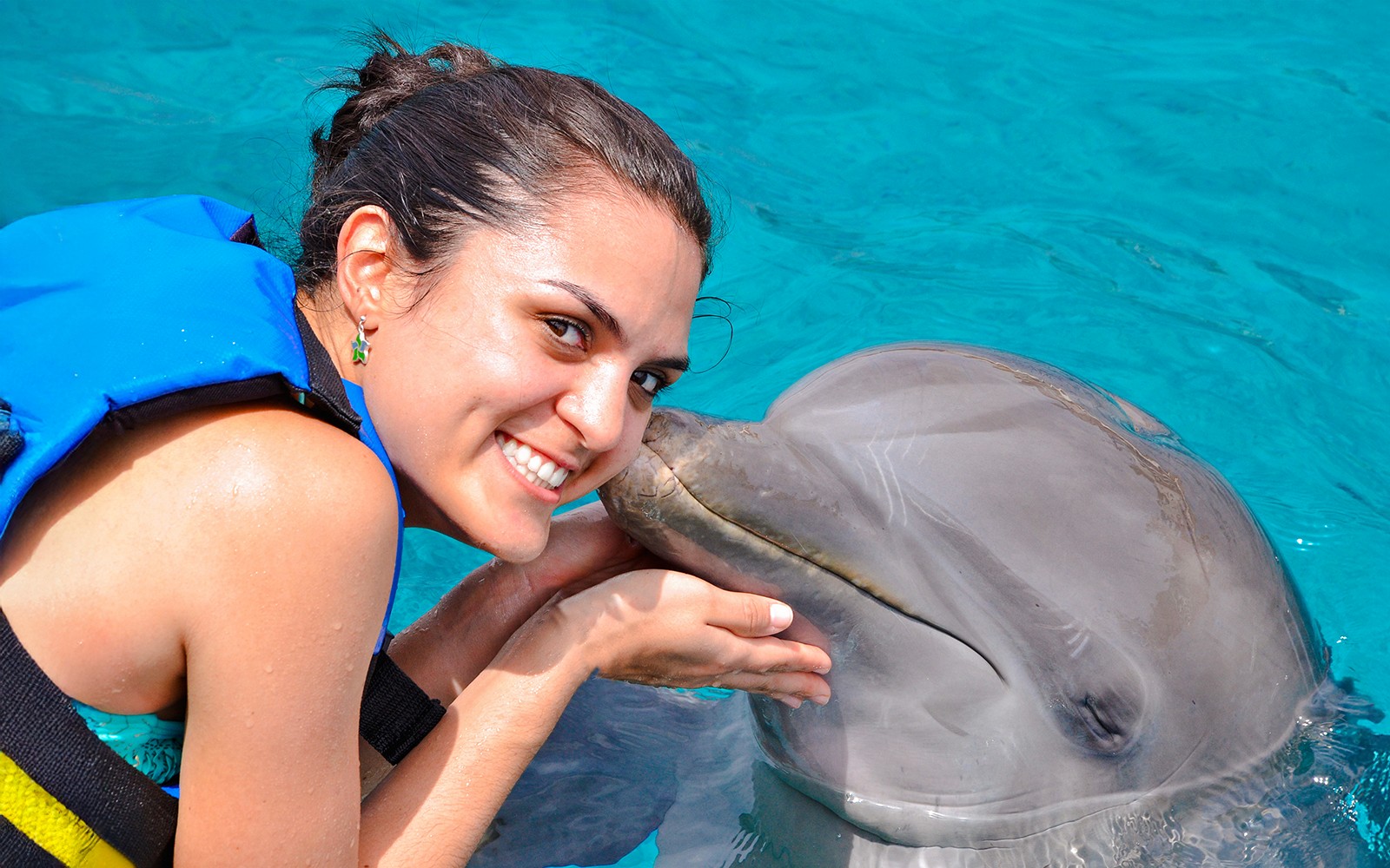Dubai Dolphinarium: Dolphin & Seal Show + Mirror Maze Tickets with Popcorn