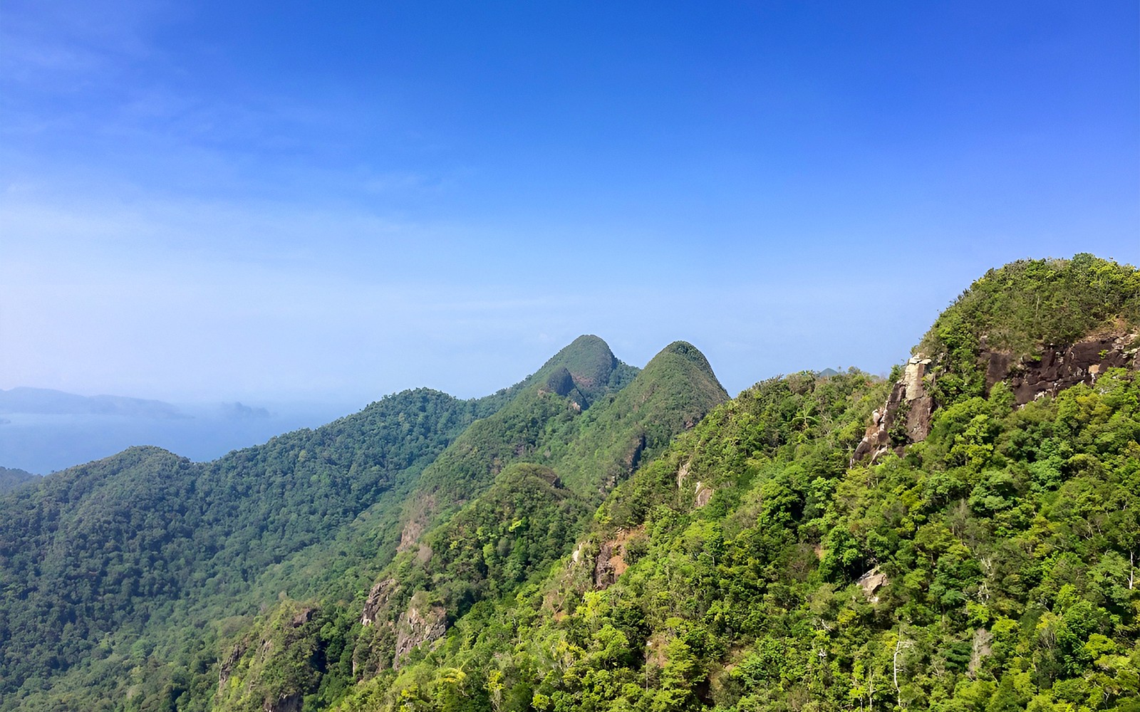 Guided Bird Watching Tour in Langkawi with Round-Trip Transfers — gallery 2
