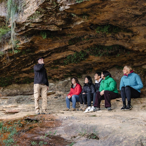 Blue Mountains: Guided Day Tour from Sydney with Featherdale Wildlife & Bushwalk — gallery 2