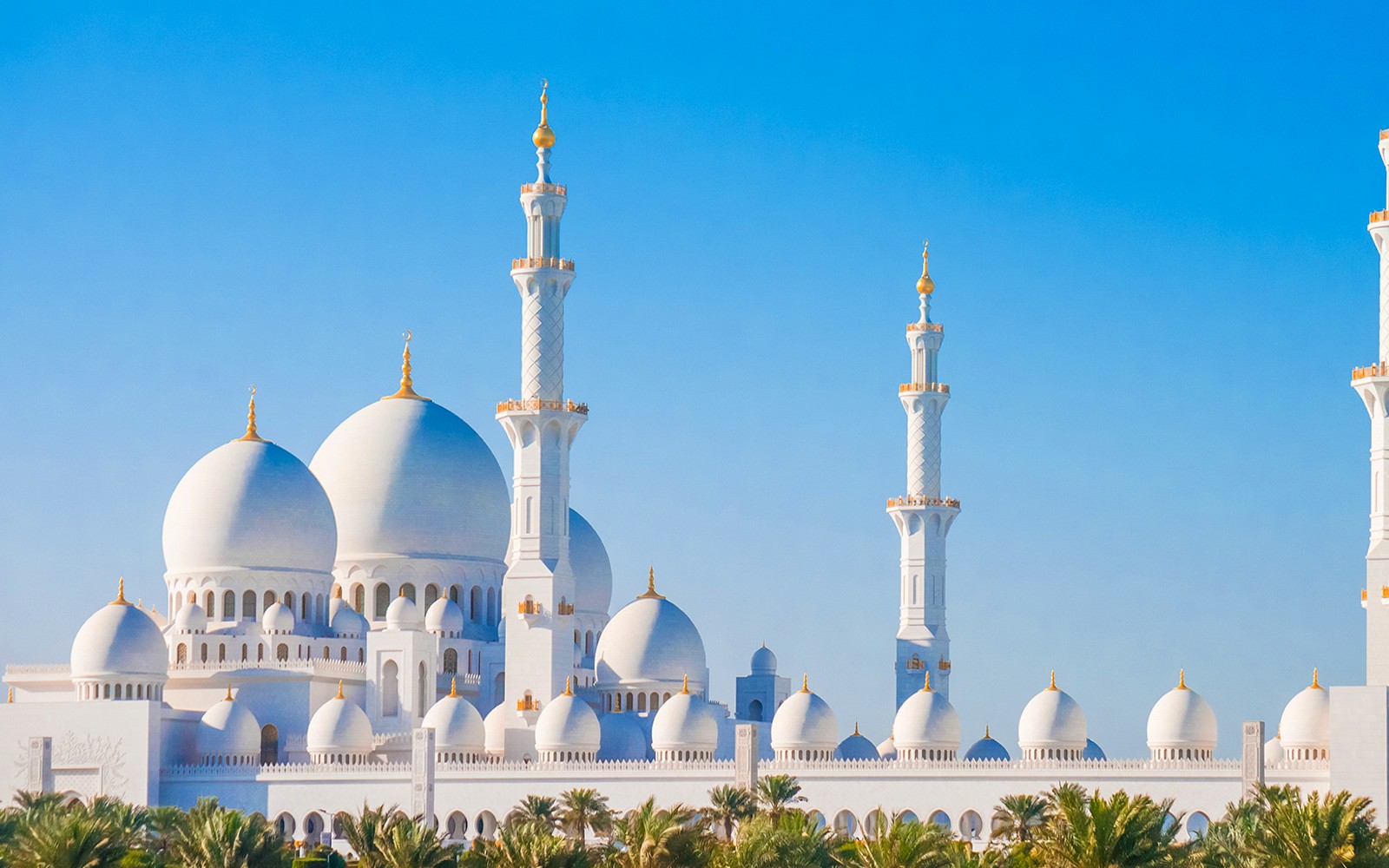 20 Mins Abu Dhabi Cruise — gallery 1