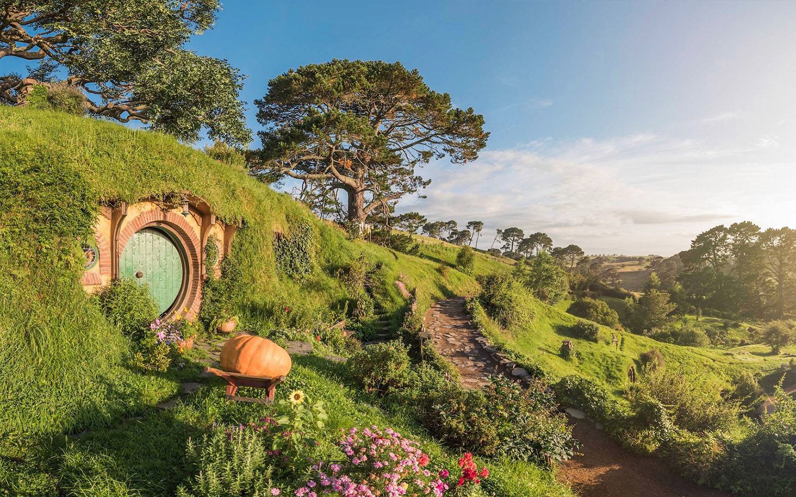 From Auckland: Hobbiton Movie Set & Waitomo Glowworms Caves Guided Tour