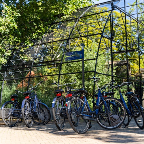 Amsterdam: Small Group Guided Bike Tour — gallery 3