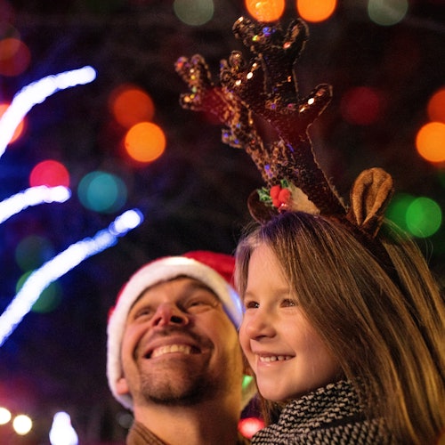 Dutch Winter Wonderland: Entry Ticket — gallery 1