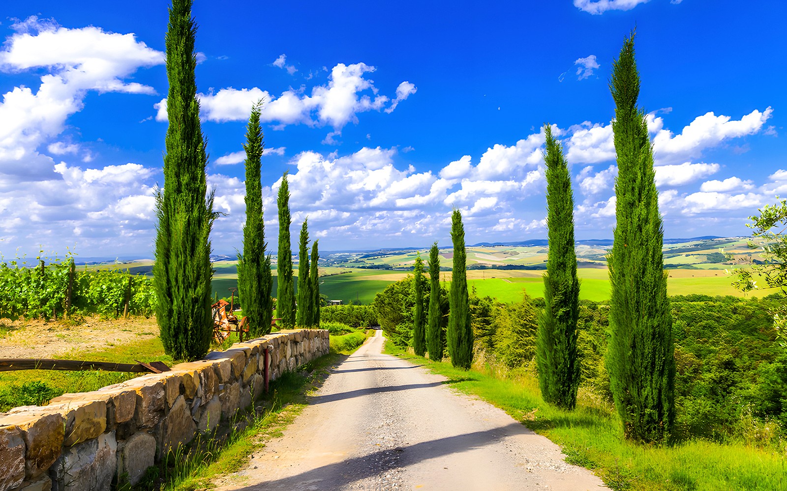 From Florence: Siena and Chianti Day Trip with Dinner & Regional Pairings — gallery 4
