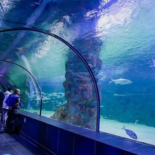 Viaport Theme Park with Aquarium and Lion Park: Entry Ticket — gallery 1