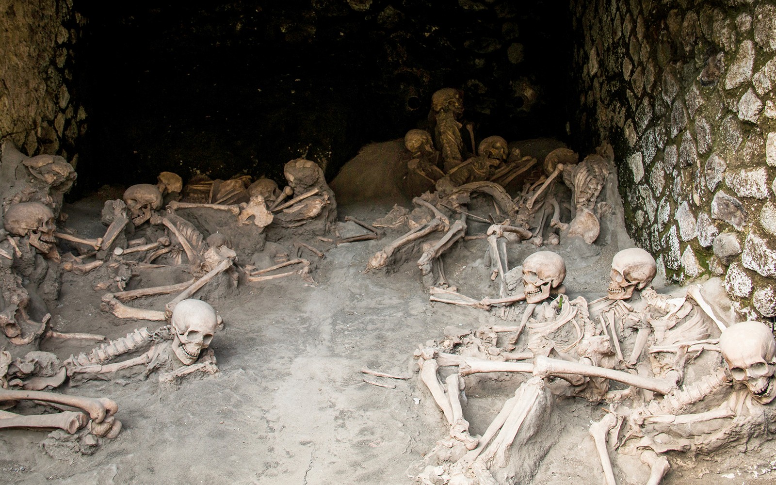 Herculaneum Private Guided Tour with an Archaeologist