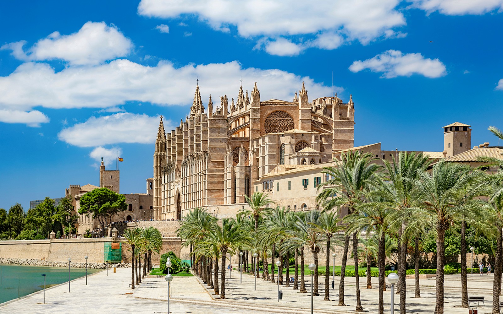 Palma Cathedral Skip-the-Line Tickets