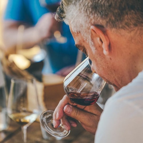 Amarone Wine-Tasting Tour from Verona — gallery 1