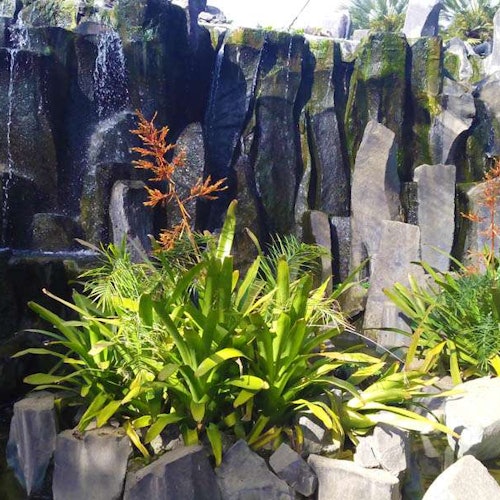 Palmetum of Santa Cruz de Tenerife: Entry Ticket — gallery 1