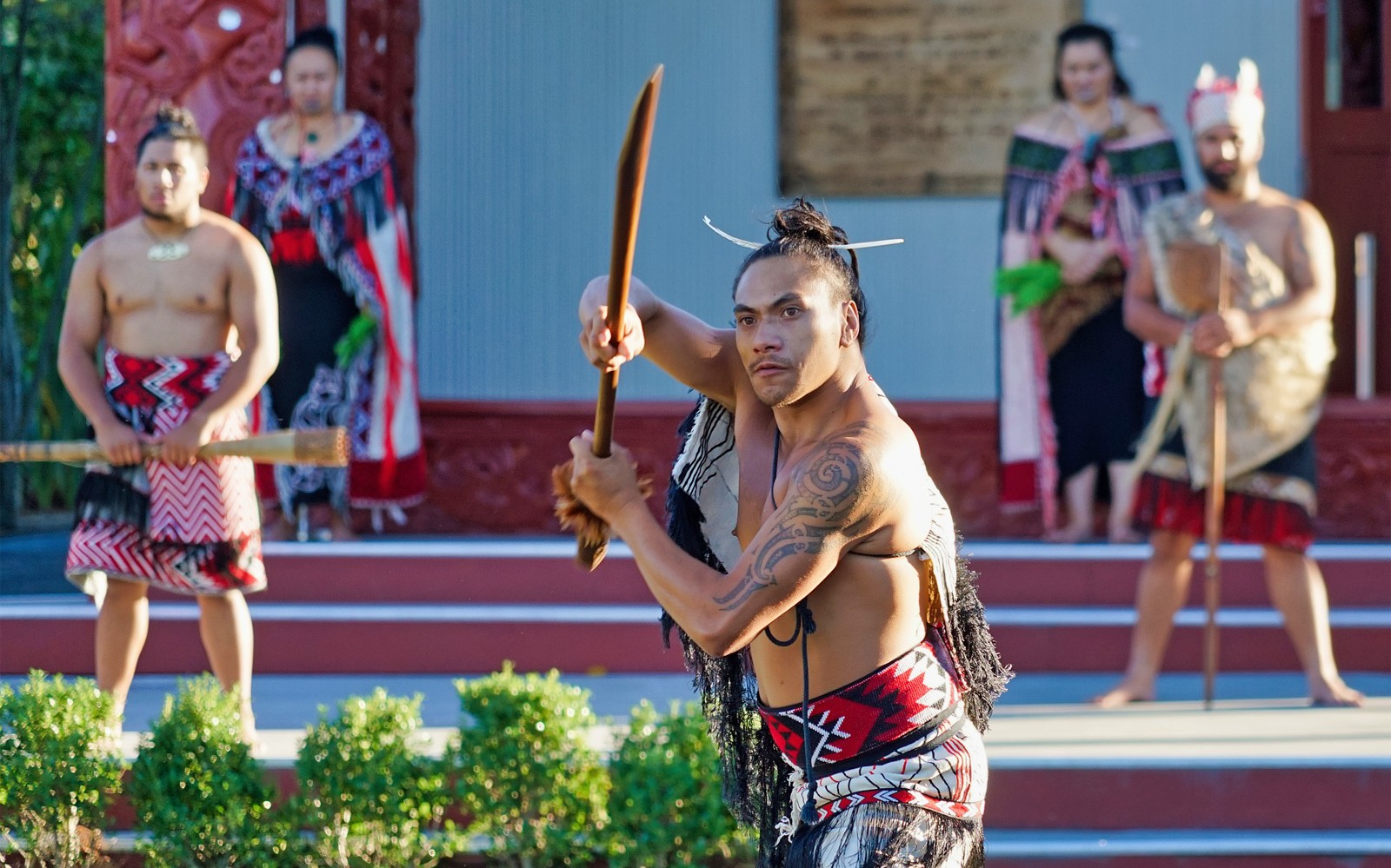 [All Inclusive] From Auckland: Hobbiton, Rotorua, Te Puia & Maori Culture Guided Tour