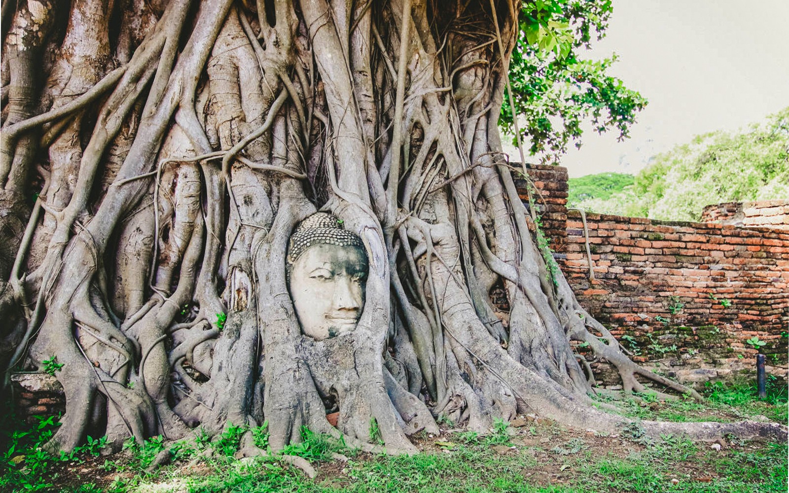 From Bangkok: Ayutthaya Temples & Grand Pearl River Cruise Full-Day Guided Tour with Lunch — gallery 1