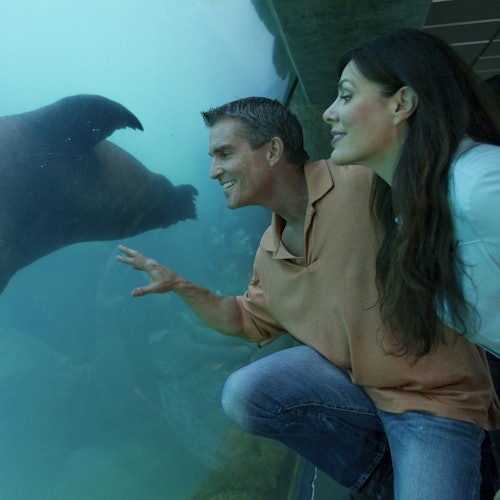 Aquarium of the Pacific: Membership Voucher — gallery 3