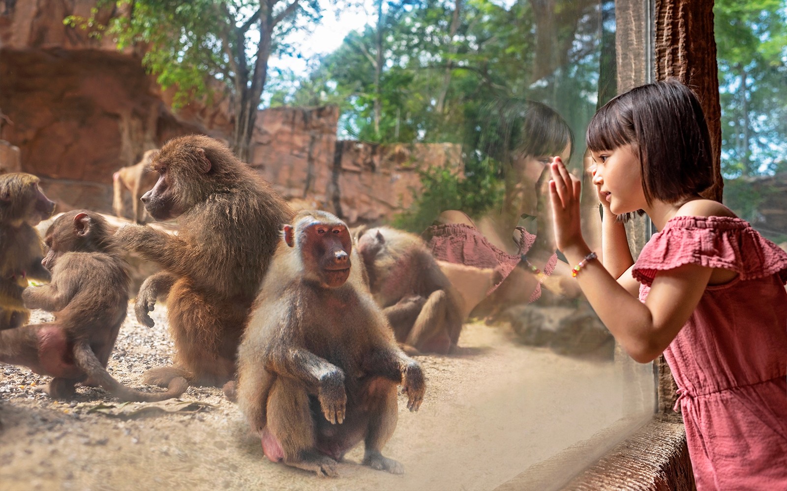 Mandai Wildlife Destination Pass — gallery 2
