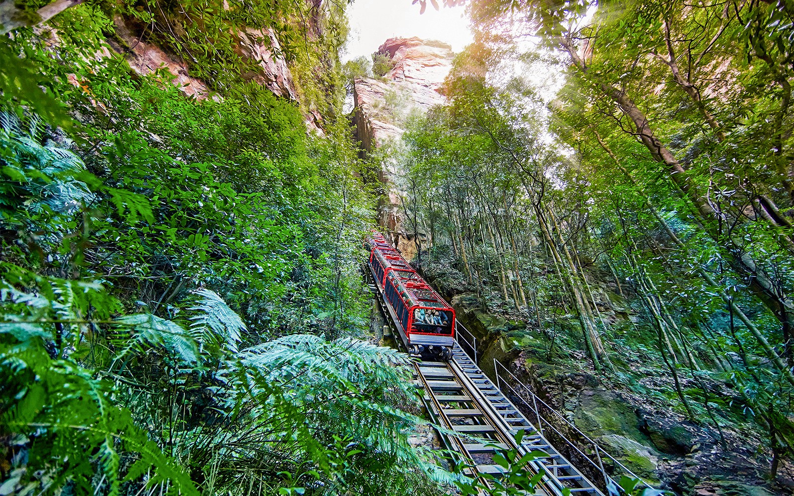 Blue Mountains Beat-the-Crowd Tour: Scenic World, Sydney Zoo & Harbour Ferry Return