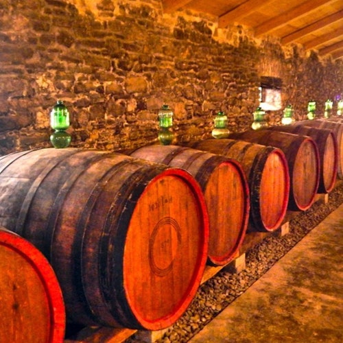 Corfu: Winery Tour + Wine & Olive Tasting — gallery 3