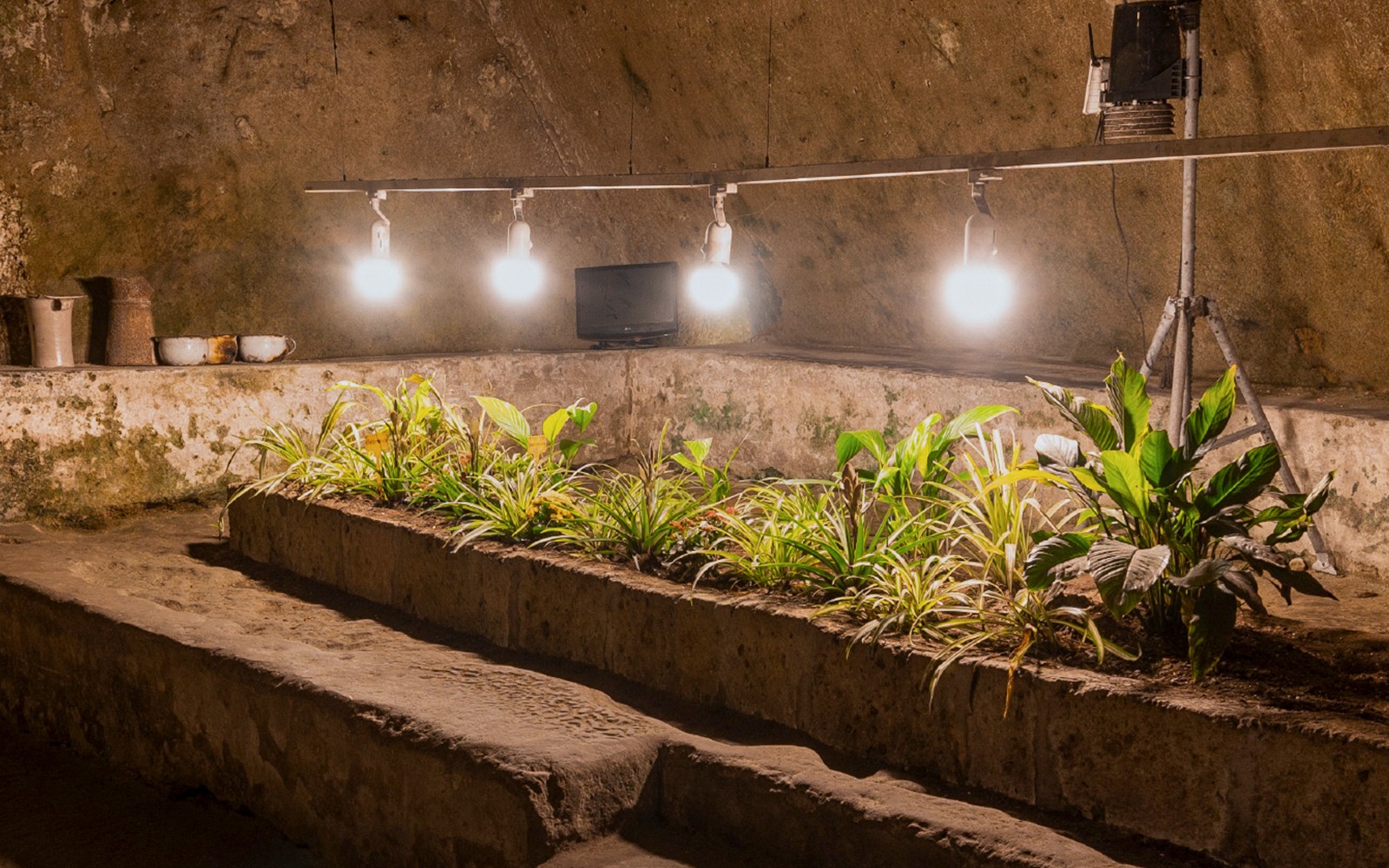 Naples Underground Skip-the-Line Ticket and Guided Tour — gallery 3