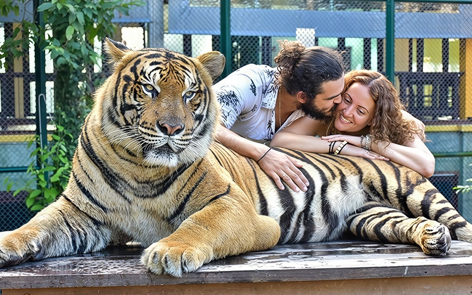 Tiger Kingdom Tickets with Tiger Play Packages — gallery 3