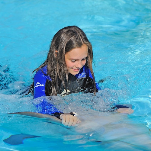 Zoomarine Algarve: Entry Ticket + Dolphin Experience — gallery 1
