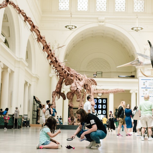 The Field Museum of Natural History: Guided Tour + Early Access + Exhibition — gallery 1
