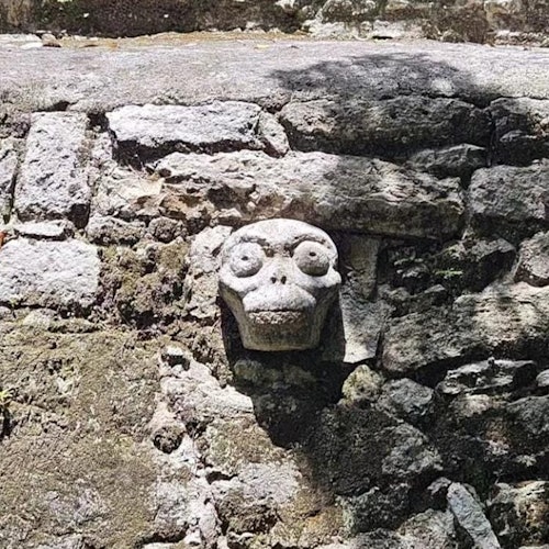 Cobá Archaeological Site: Entry Ticket + Guided Tour — gallery 3