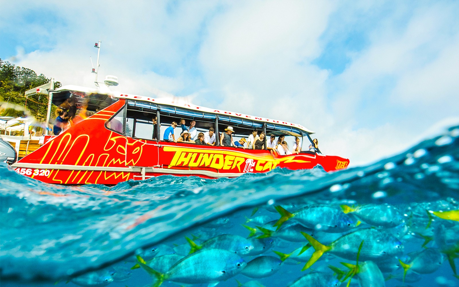 Airlie Beach: Whitehaven Beach Snorkel Cruise with Hill Inlet Tour and Buffet Lunch