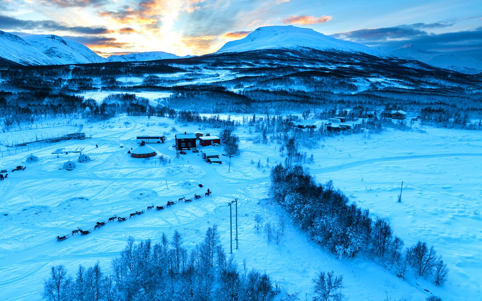 Reindeer Sledding & Sami Culture Guided Tour with Hot Drinks & Meal